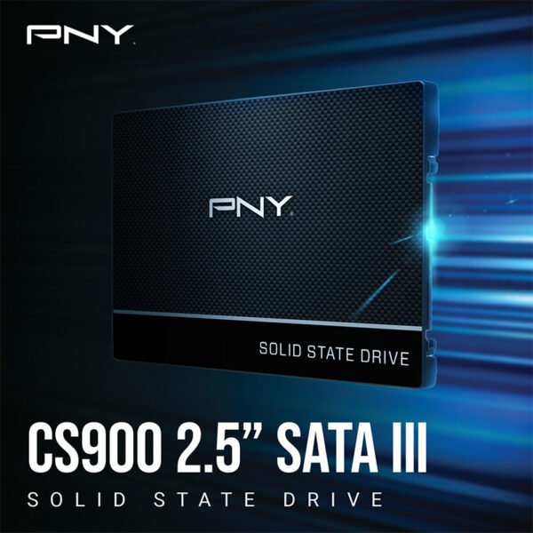 pny-ssd